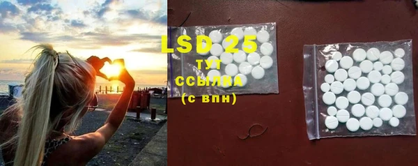 гашик Вязьма