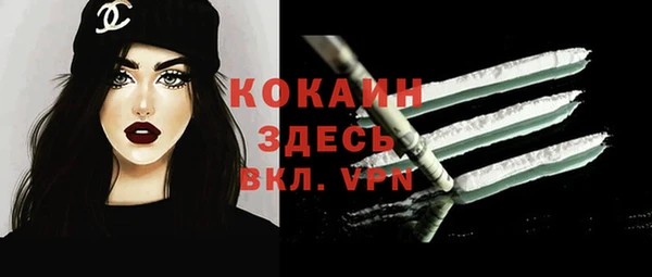 гашик Вязьма