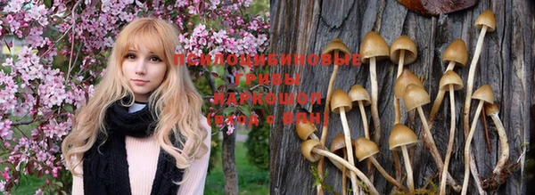 молекула духа Вязники