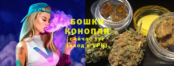 гашик Вязьма